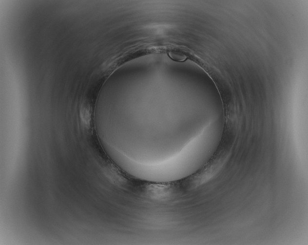 X0000111480139200907210956