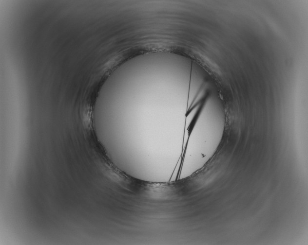 X0000111480141200907210956