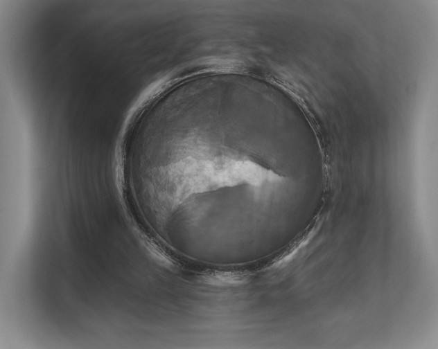 X0000111480149200907210955