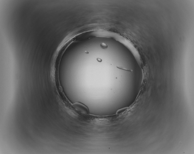 X0000111480150200907210955