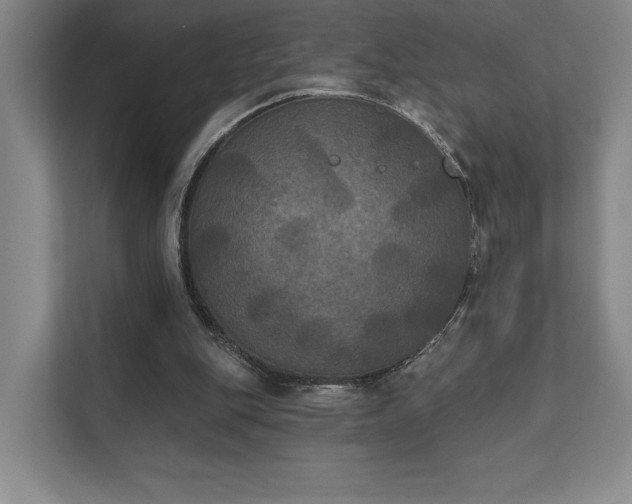 X0000111480151200907210955