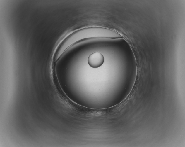 X0000111480152200907210955