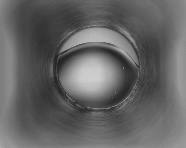 X0000111480154200907210955