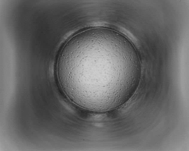 X0000111480155200907210956