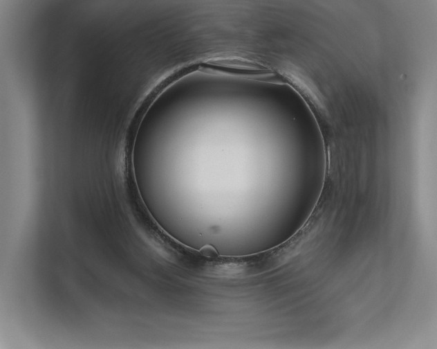 X0000111480156200907210956