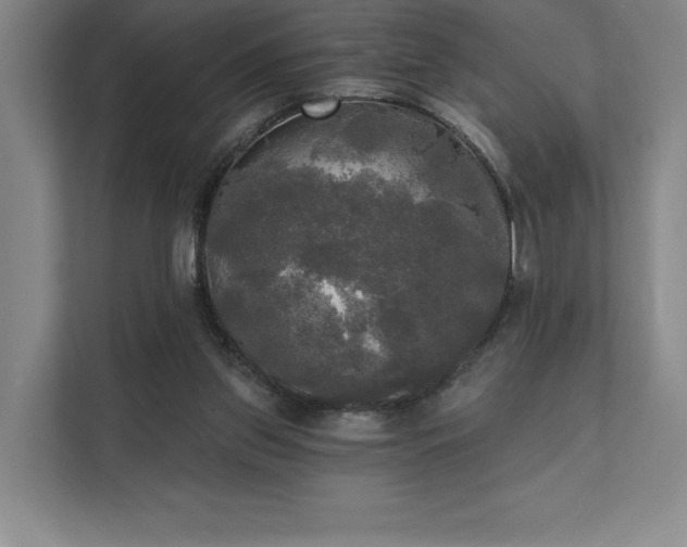 X0000111480157200907210956