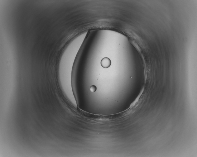 X0000111480158200907210956