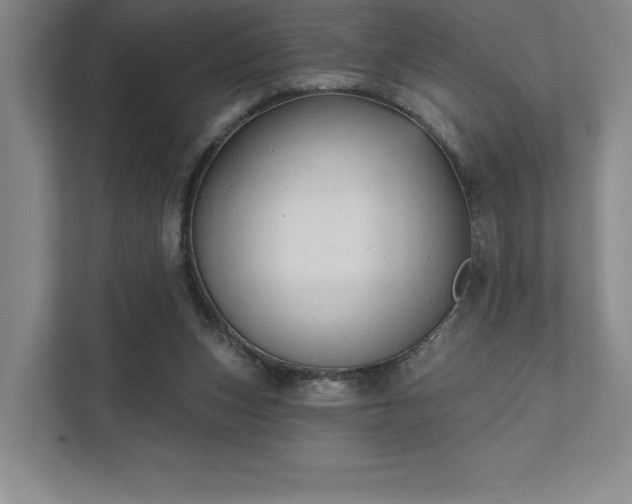 X0000111480159200907210956