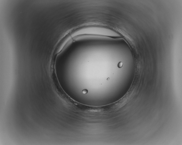 X0000111480160200907210956