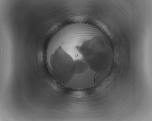 X0000111480161200907210956