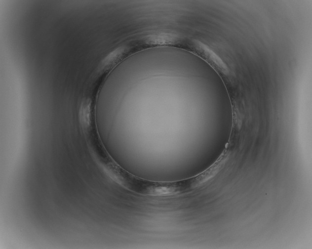 X0000111480163200907210956