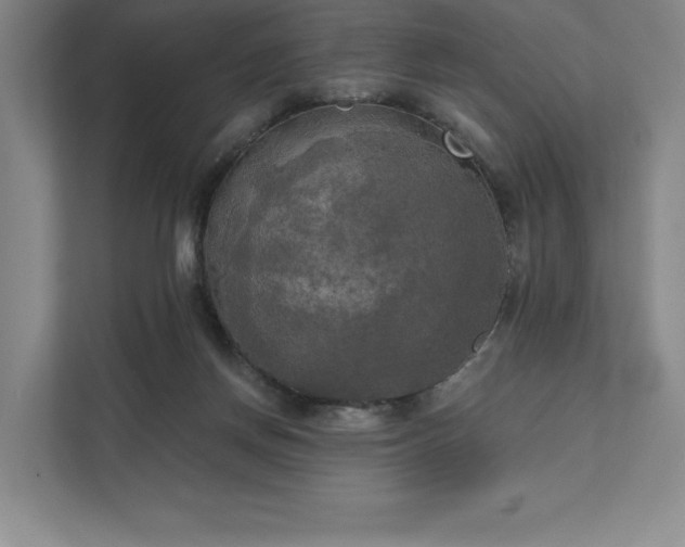 X0000111480166200907210956