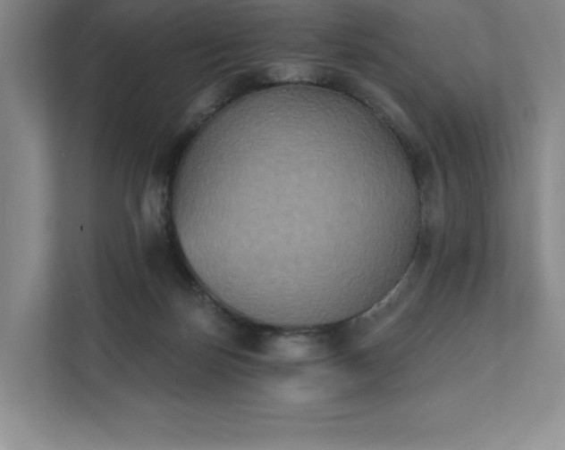 X0000111480171200907210956