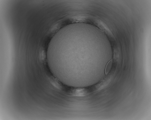 X0000111480173200907210956