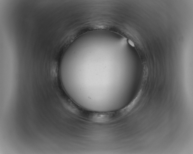 X0000111480174200907210956
