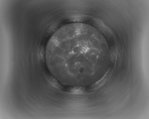 X0000111480175200907210956