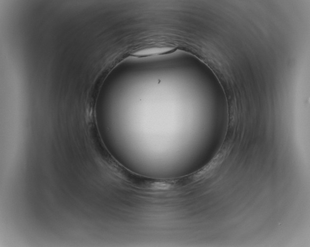X0000111480176200907210956
