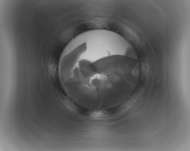 X0000111480177200907210956