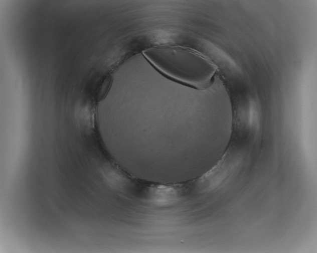 X0000111480180200907210956