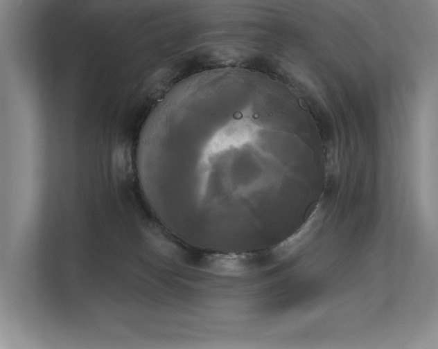X0000111480182200907210956