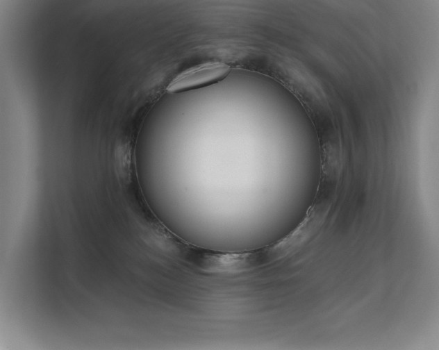 X0000111480184200907210956