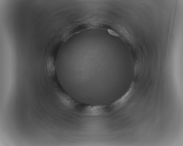 X0000111480186200907210956