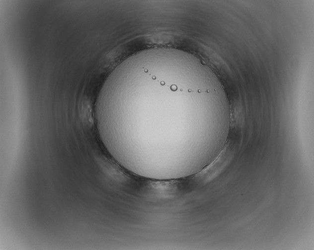 X0000111480187200907210956