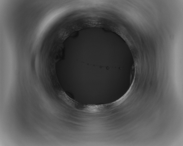 X0000111480190200907210956
