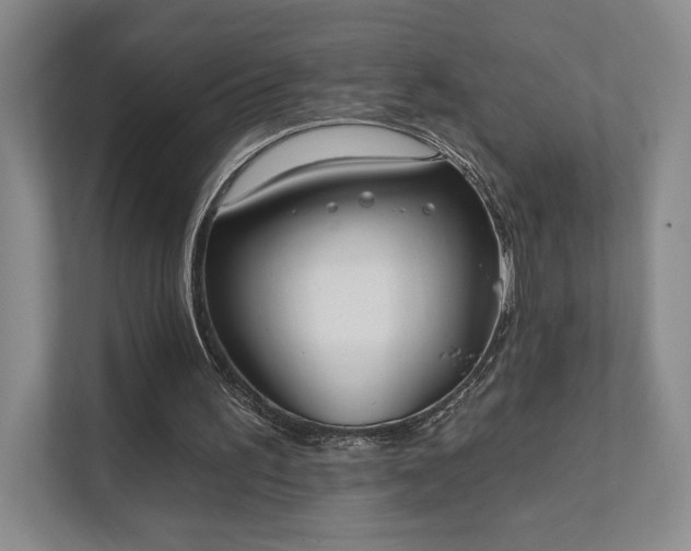 X0000111480195200907210955