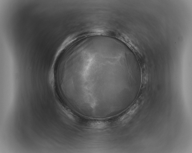 X0000111480198200907210955