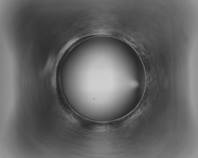 X0000111480200200907210955