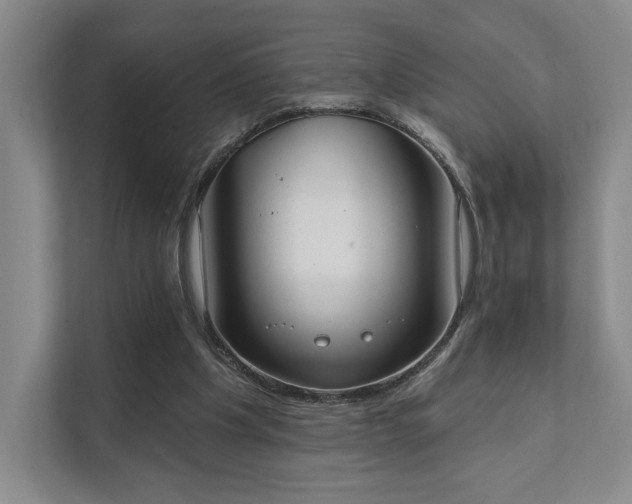 X0000111480201200907210955