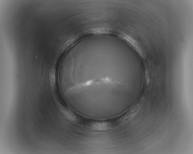 X0000111480202200907210955