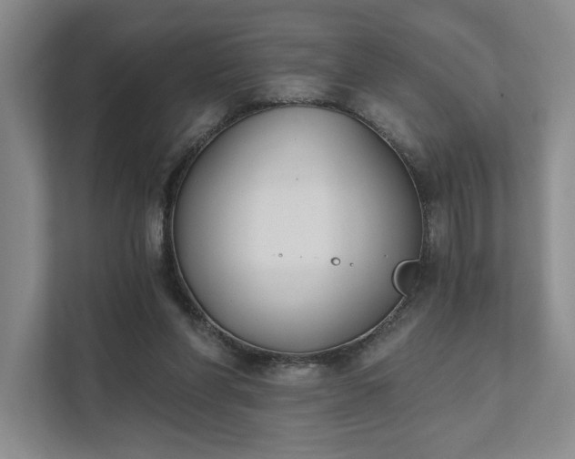 X0000111480206200907210955