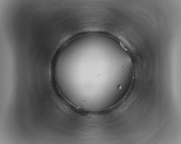 X0000111480207200907210955