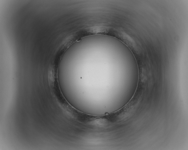 X0000111480210200907210955