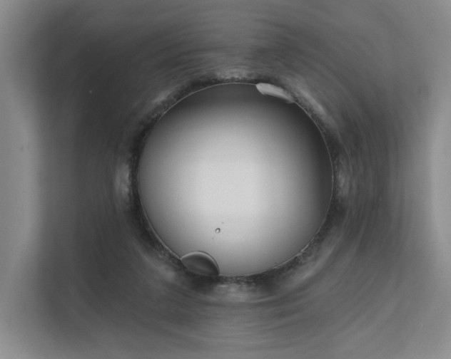 X0000111480211200907210955
