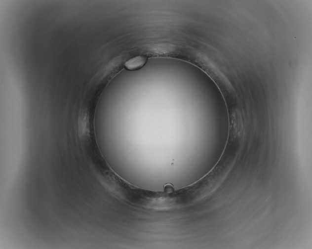 X0000111480212200907210955