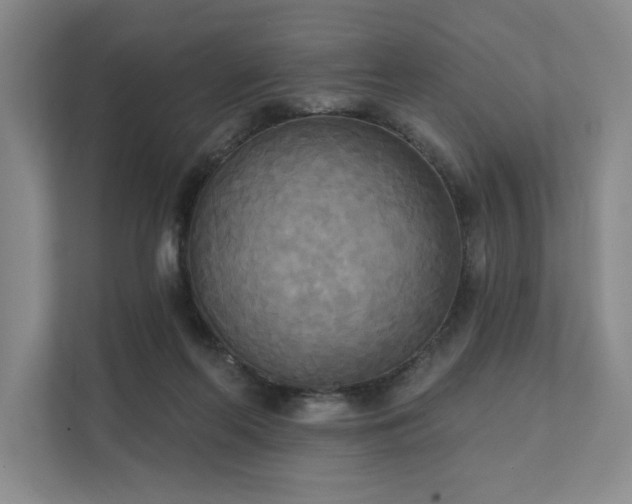 X0000111480214200907210955