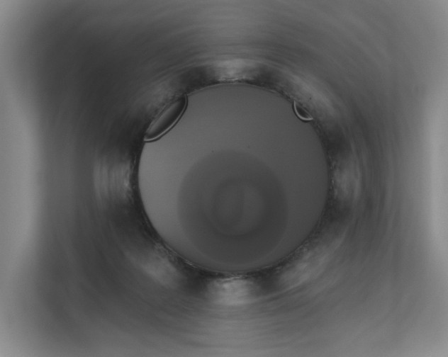 X0000111480219200907210955