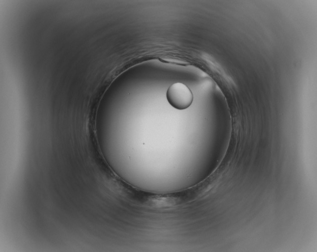 X0000111480221200907210955