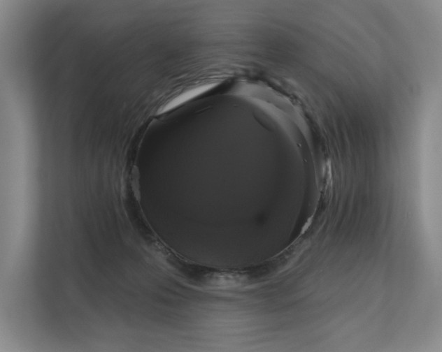 X0000111480223200907210955
