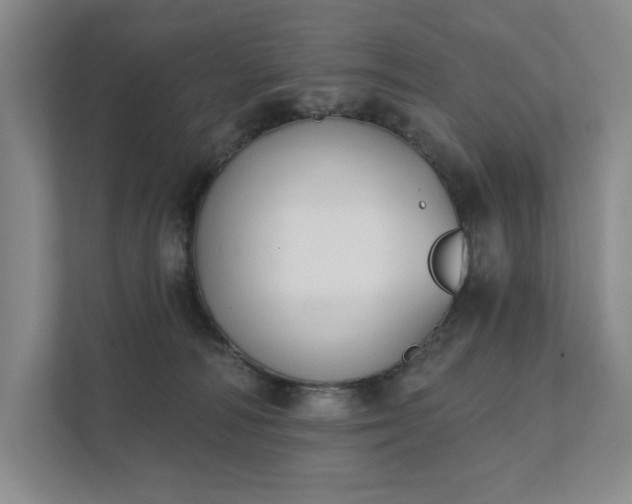 X0000111480226200907210955