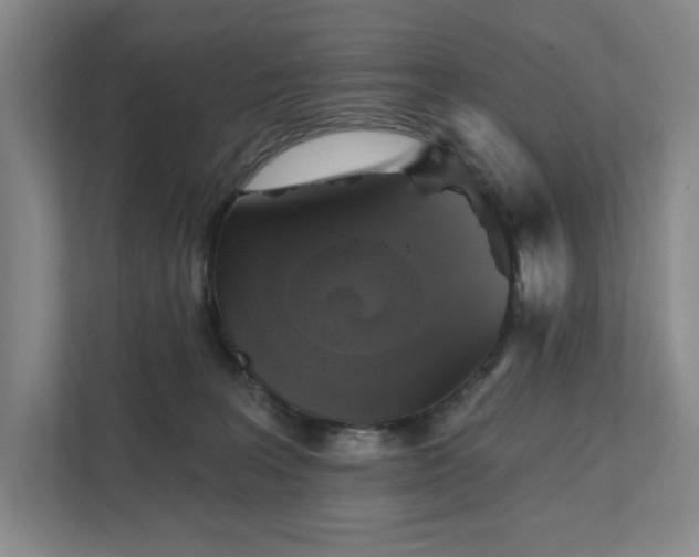 X0000111480227200907210955