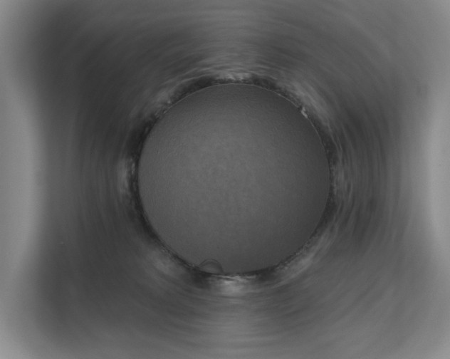 X0000111480229200907210955