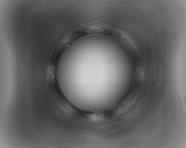 X0000111480232200907210955