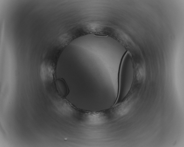 X0000111480235200907210955