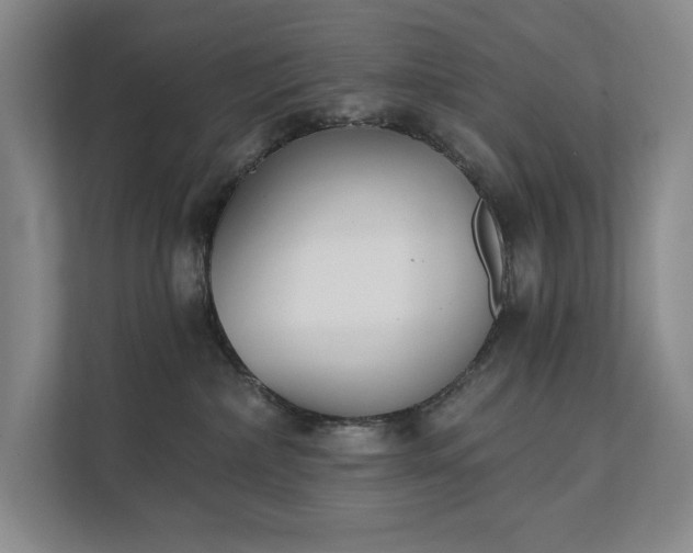 X0000111480236200907210955