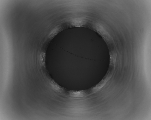 X0000111480237200907210955