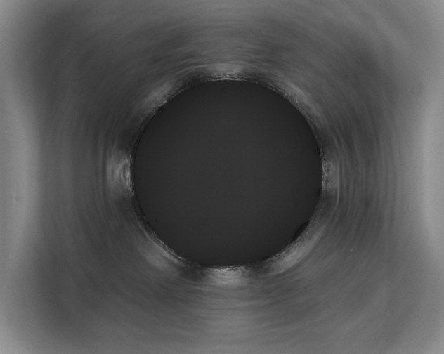 X0000111480238200907210955